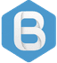 BidHex Logo